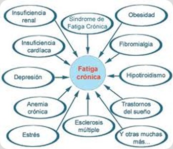 10 semanas del embarazo duele el vientre y la espalda