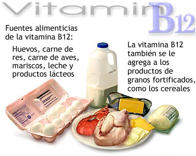 IMPORTANCIA Y FUNCION DE LA VITAMINA A importancia y funcion de la vitamina a: