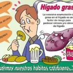 esteatosis hepatica esteatosis hepatica